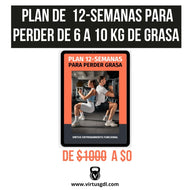 [GRATIS] Plan de 12-Semanas Para Perder Grasa